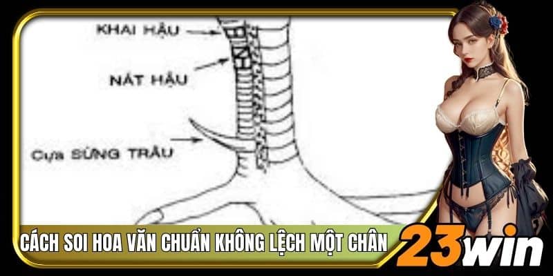 Cách soi hoa văn chuẩn không lệch một chân
