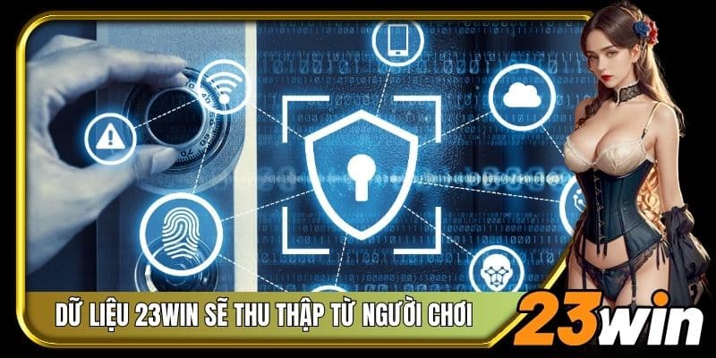 Tổng hợp những dữ liệu 23Win sẽ thu thập từ người chơi